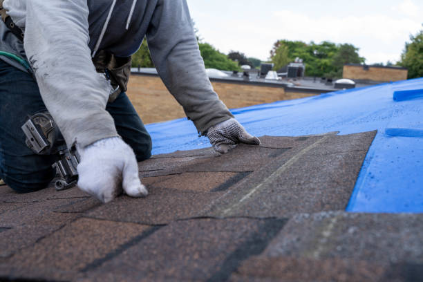 Best Shingle Roofing Installation  in Beverly Hills, TX